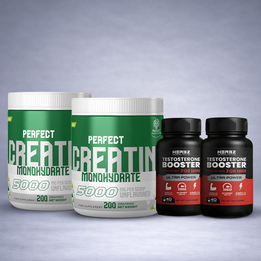 Flacon blanc Perfect Creatine et flacon noir Herbz Testosterone Booster posés côte à côte sur fond neutre dégradé clair, visuel premium pour site e‑commerce musculation et vitalité masculine.