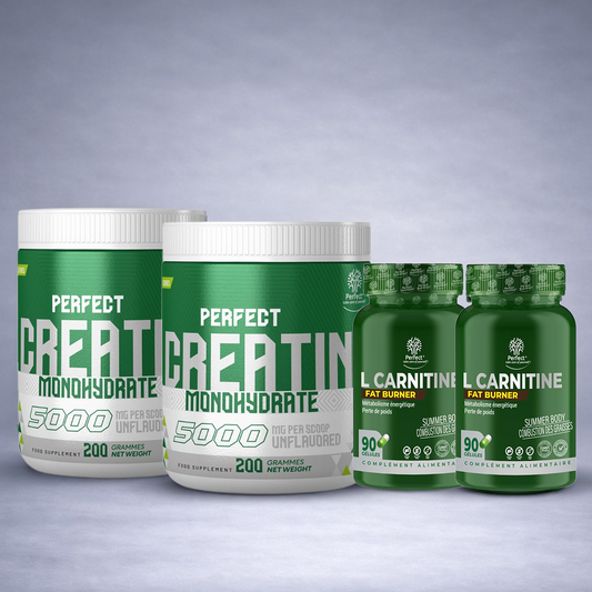 Flacon blanc Perfect Creatine et flacon vert Perfect L‑Carnitine posés côte à côte sur fond neutre dégradé clair, visuel premium pour site e‑commerce musculation et brûle‑graisse