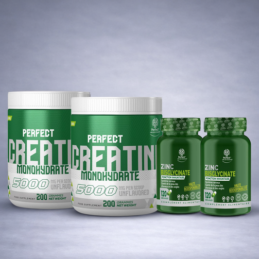 Flacon blanc Perfect Creatine et flacon blanc Zinc posés côte à côte sur fond neutre dégradé clair, visuel premium pour site e‑commerce musculation et immunité
